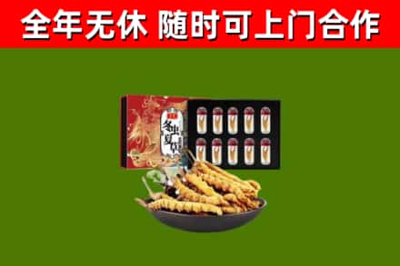 瑞金市回收冬虫夏草价格