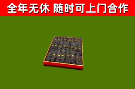 瑞金市回收海参